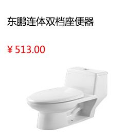 成都雷邦仕屋頂防水補(bǔ)漏材料